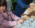 Images Page